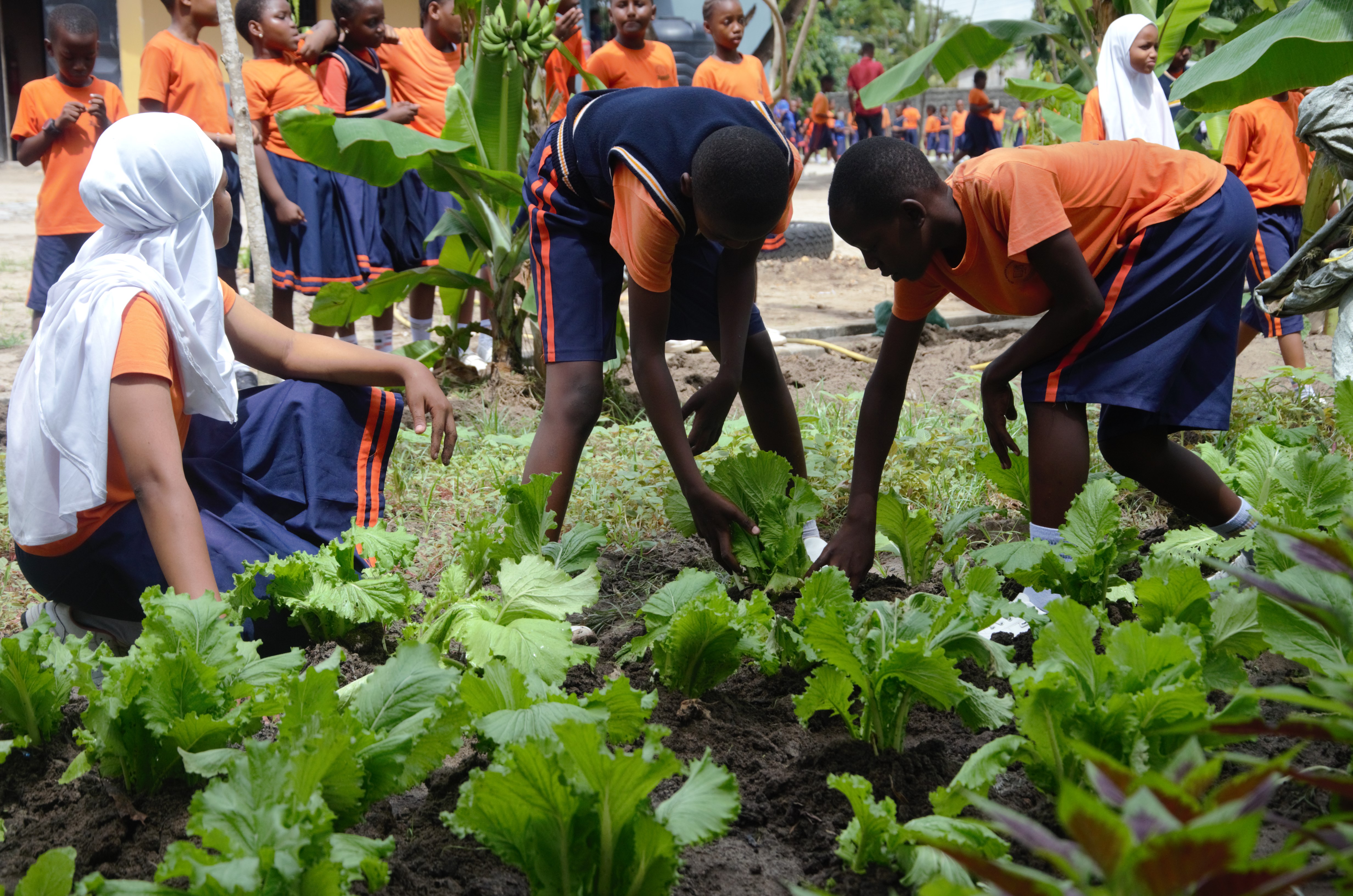 Classroom Activities